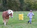 Lena et Iroy