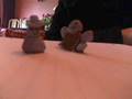 videos de blutack chase penny monster!!!_0001.wmv