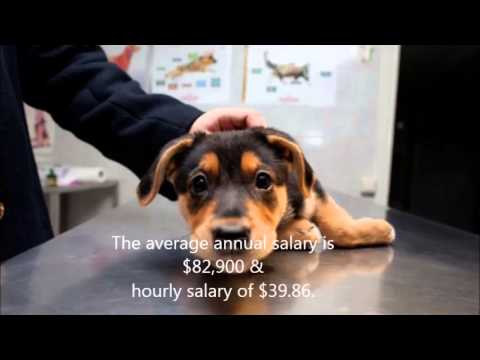 how to become veterinarian