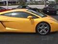 Test Drive the Lamborghini Gallardo