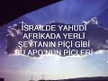 İŞTE APONUN PİÇLERİ ADLI ŞİİRİM BU ŞİİRİ YAZARKEN HİÇ UĞRAŞMADIM