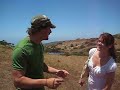Wild Catalina