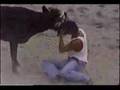 MARQUETALIA CALDAS TOROS 1996