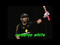 australia cricket team sqaud for icc world cup t20 tournament 2010
