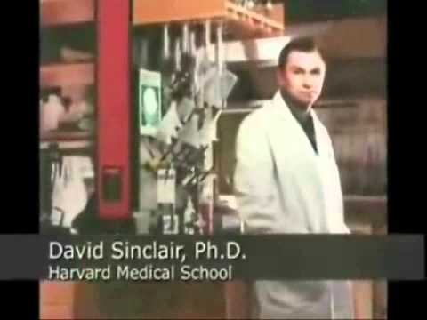 how to decide to lose weight