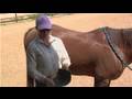 Horse Care & Knowledge : Put Sports Medicine Boots on a Horse