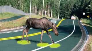 Solar Freakin' Roadways