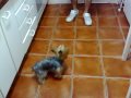 videos de QUINO SENTANDOSE
