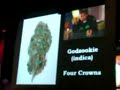 opening ceremonies of cannabis cup 2006