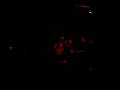 videos de November Metal Fest - Avatar
