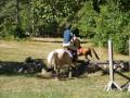 XC Schooling at Ledyard