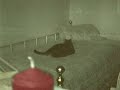 Annie Cat - Tail Chasing - 1994