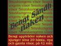 Bengt Sändh - Det angår dig inte