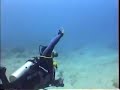 playa del carmen scuba diving