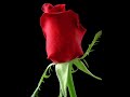Hindi Song \"Thora Sa Pyaar\" (AAN Singing) Hindi Song \"Thora Sa Pyaar\" (AAN Singing)