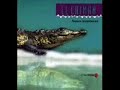 el caiman  los caporales