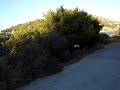 Salamina Hliakti Salamina Hliakti