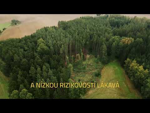 Video Prodej borovicových lesů v Hradci nad Svitavou a Starém Svojanově (12 552 m²)