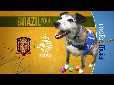 WORLD CUP PREDICTIONS | Spain v Netherlands WORLD CUP PREDICTIONS | Spain v Netherlands