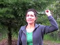 The ECETI Testimonies #2 May 2008