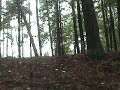Lake Keowee Lot 8 Cane Creek Harbor Waterfront Mike Roach