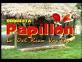 Que paso ? Papillon