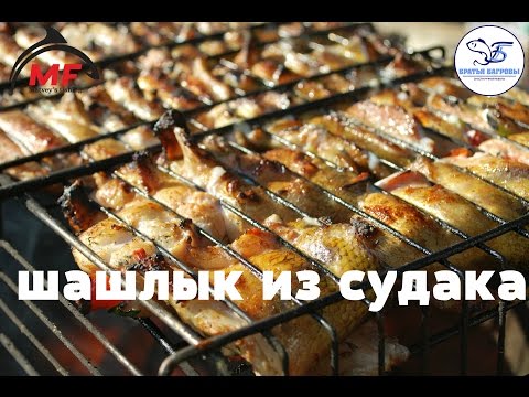Как сделать шашлык из судака на решетке Как сделать шашлык из судака на решетке