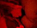 decapsulage de cannette