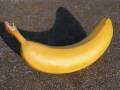 videos de Banana Phone  - Picture Animation