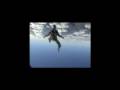 FreeFLYING Stars at Skydive South West Florida