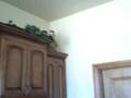 2629 SE 5th Moore, OK 73160