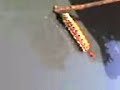 Brincando com a lagartinha!