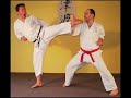 Martial Arts from Hell - Tsunami Karate, Krav Maga, Systema
