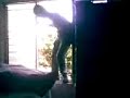 el palo violador