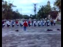 zorros de la UMSNH ensayo