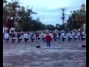 zorros de la UMSNH ensayo