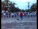 zorros de la UMSNH ensayo