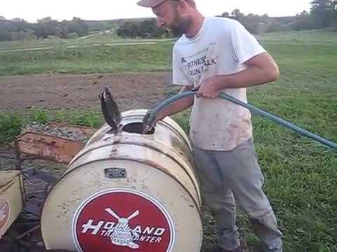 how to fertilize brassicas