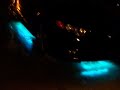Street Glow Multi Color Underbody LED