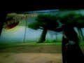 Nuns - Kisame vs Gai