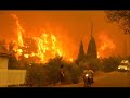 Burned forest in Greece