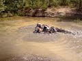 Burying A Honda Rincon 680 In Mud