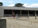 Ange Divin équitation obstacle
