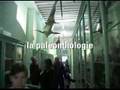 Le Museum de rouen réouvert - YouTube