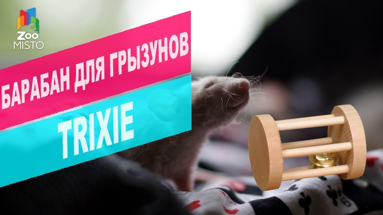 Игрушка для грызунов TRIXIE 6184 | Обзор барабана/валика для грызунов TRIXIE