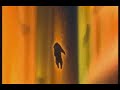 Brother Bear: The best of