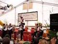 Festival-der-Blasmus