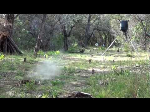 how to adjust bsa red dot