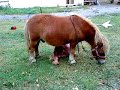MOV00296.MP4