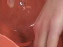 Biotechnology Liver Lab